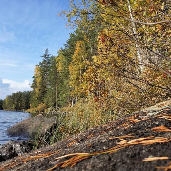 Finlande automne